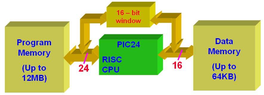 2.1 Havard Architecture 마이크로칩 비트 MCU는 24비트의프로그램메모리버스와