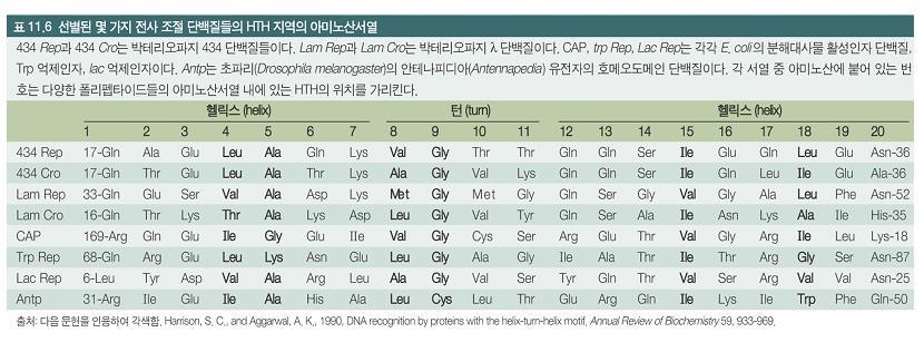 Helix-turn-helix