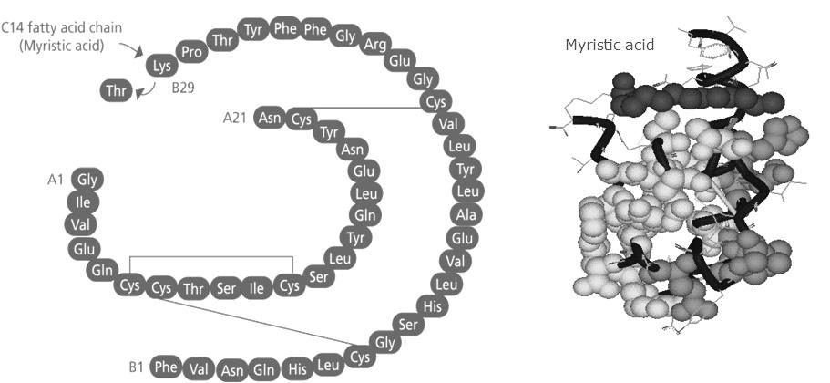 특집 : 당뇨병환자의인슐린치료 Insulin Pharmacodynamics NPH vs Ultralente vs Glargine vs CII mg/kg/min C insulin 4.0 3.0 NPH 2.0 1.