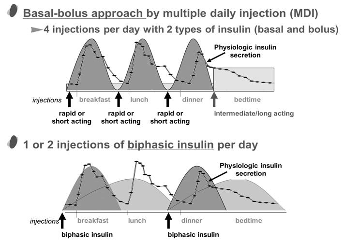 특집 : 당뇨병환자의인슐린치료 Premixed Insulin 기존인슐린혼합형 (RI + NPH) RI (30%) + NPH (70%) ( 휴물린, 믹스타드이노렛 ) 인슐린유사체혼합형 Lispro base ( 휴마로그믹스, 50%, 25%) Aspart base ( 노보믹스, 30%, 50%, 70%) Main insulin regimens :