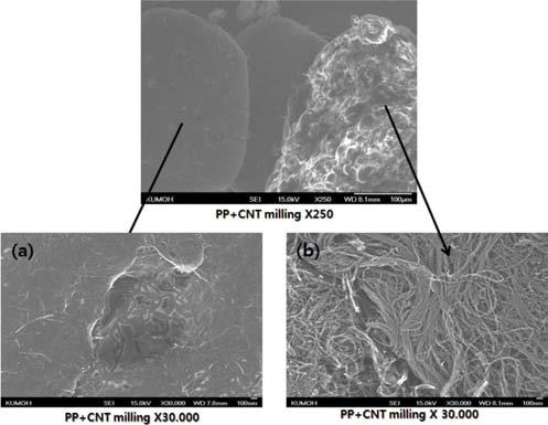 탄소나노튜브와스테인레스강단섬유를함유한폴리프로필렌복합체의전기저항및기계적특성 253 Figure 4. Observation of surface morphology after ball milling of MWNT with PP granule at 250: (a) PP granule surface at 30000; (b) MWNT surface at 30000.