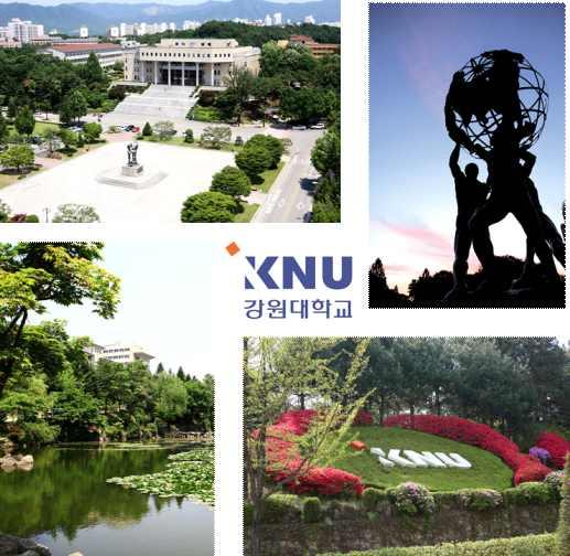 Guideline for Applicants - KNU Exchange Program - Contents * Instruction for Filling-out * Why KNU and Chuncheon City? 1. KNU Chuncheon Campus 2. Field of Study and Registration of classes 3.