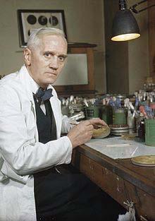 Alexander Fleming (1881~1955) 영국의화학자 1928 년