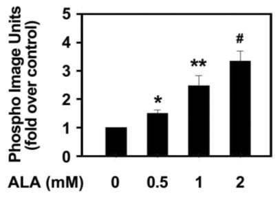 Quantification of data expressed as mean ± SEM of three separate measurements. Statistical significance was determined as *P < 0.05, **P < 0.01 and #P < 0.001 compared with basal expression.