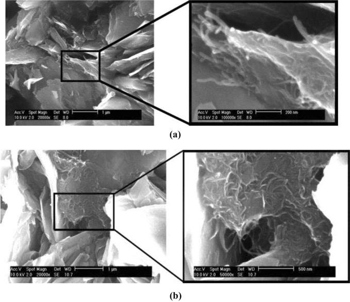 186 J. M. Choi et al. / Carbon Science Vol. 6, No. 3 (2005) 181-187 Fig. 13. SEM image of the fractured surface bipolar plate. Fig. 13p CNT ~ ˆ ~p SEM p. Fig. 13(a) rrlr ~ v kp np, Fig.