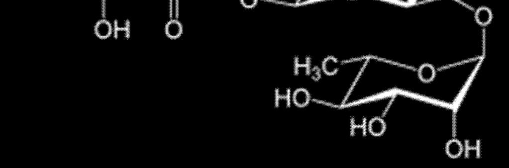 레몬그라스 - 지표성분 : chlorogenic acid, p-coumaric