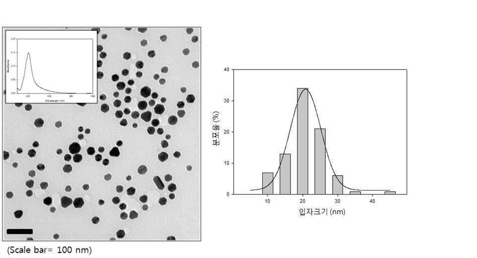 그림 4-1-4 TEM 이미지와 ImageJ 로해석한입도분포도 그림 4-1-5 XRD 의특성피크 ( 좌 ) 와 DLS 를이용한입도분포해석 표 4-1-3 다양한분석법으로측정한 AgNPs 평균입자크기 분석법 평균크기 물리적의미