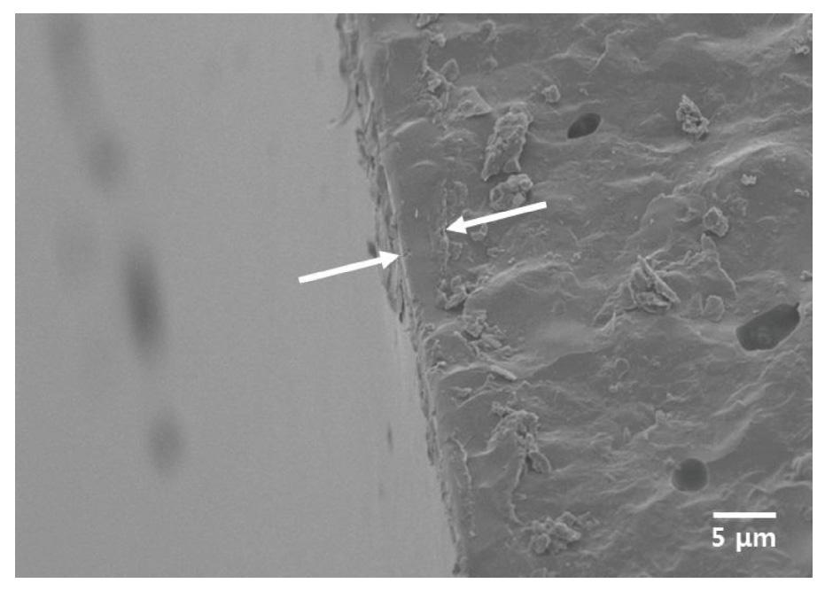 757 정숙인 김남일 이상진 Fig. 9. SEM micrographs of self-glazed layer of sintered cordierite prepared from multi component materials with 9 wt% feldspar (sintered at 1360 for 2 h). Fig. 10.