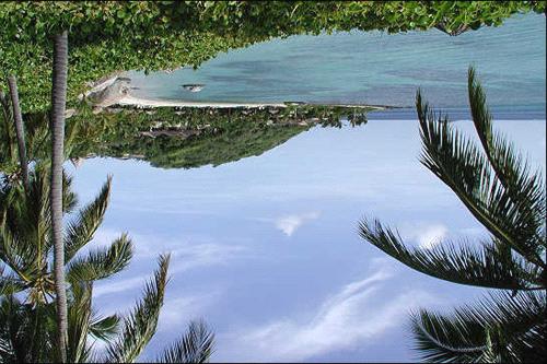 영국의버진아일랜드 (British Virgin Islands) These islands offer some of the greatest