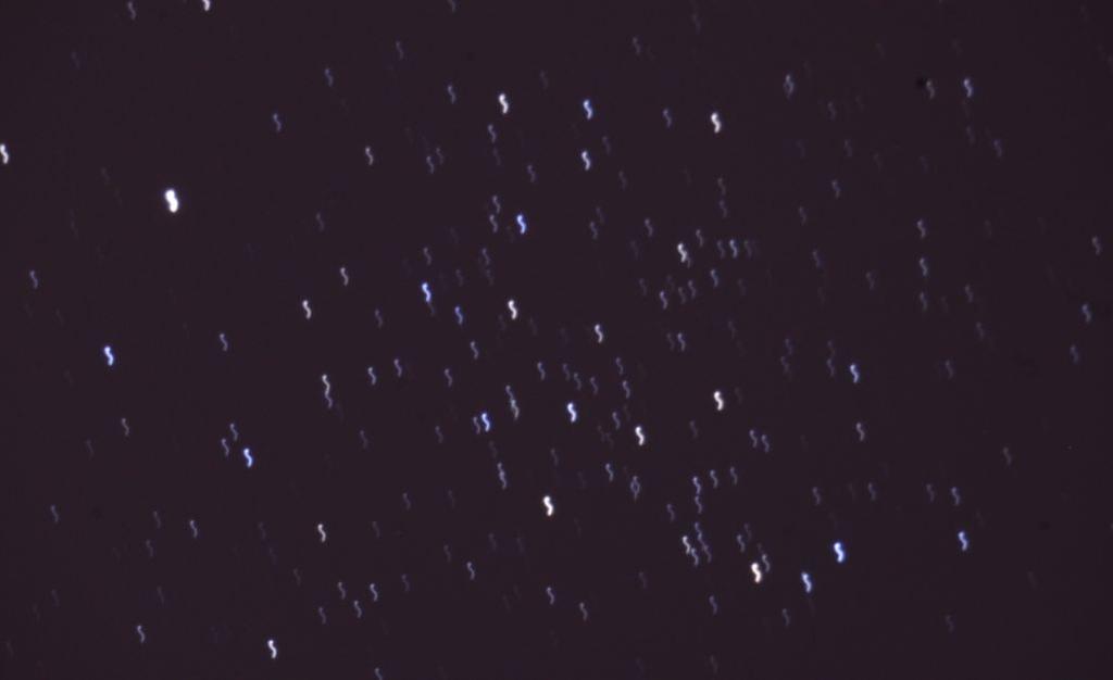 노출시간이 늘어났을 때 별의 상이 흐르는 사진을 볼 수 있다.