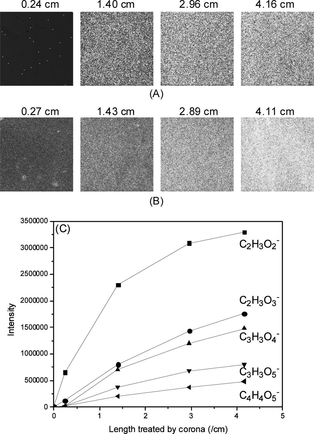 생체의료학적 응용을 위한 고분자 구배표면 제조 Figure 7. 19 FTIR-ATR spectra along the PE length after corona treatment. 14) 분자의 종류를 감지 할 수 있는 표면분석기술이다. 이러한 TOF-SIMS는 특성과 이미지화 가능성 때문에, 분석방법이 표면 의 구성 성분을 분석하는데 이상적이다.