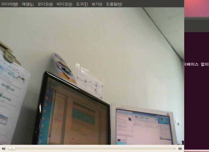 Host 에서실행한 webcam streaming