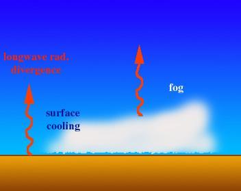 안개 냉각에의해형성된안개 o 복사안개 (Radiation fog) = 땅안개 (Ground fog) -