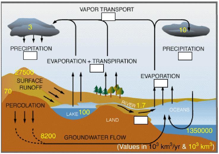 물의순환 (water cycle)
