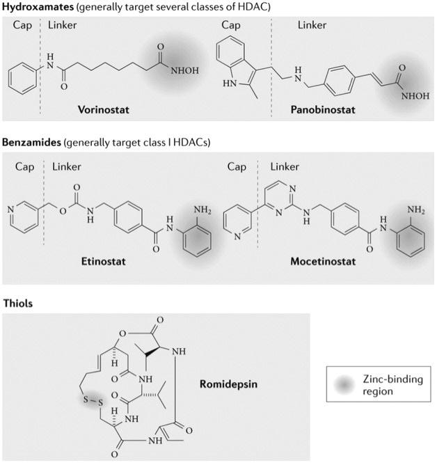 읽기쉬운총설 의약화합물이 HDACi 로알려져있으며, 두가지 HDACi (vrinostat, romidepsin) 이 refractory CTCL 에대해 FDA 승인이되었으며다양한화합물이임상시험에있다.