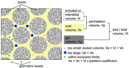 (3) 겔거르기 (Gel filtration) chromatography: 크기에의한분리 - Resin: 다공성구슬 = Sephadex, Sepharose, Biogel = Bead size: 100 mm - 원리 : 분배 (partition) chromatograph = 분배 : 용질이이동상 (mobile phase) 과고정상