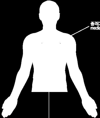 종격 ( 가슴세로칸 ) 은좌 우폐사이, 그리고앞은흉골, 뒤는흉추, 위는흉강입구,