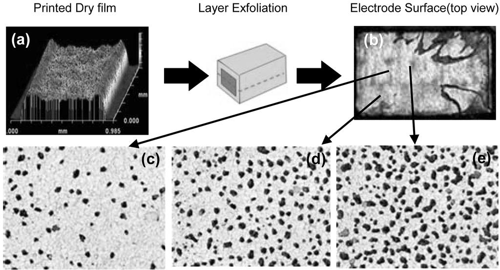 우리나라 고용량 MLCC 기술 개발의 역사와 전망 Fig. 11. 167 (a) -dimensinal view f screen-printed Ni electrde film. (b) Optical micrgraph n exfliated electrde surface.