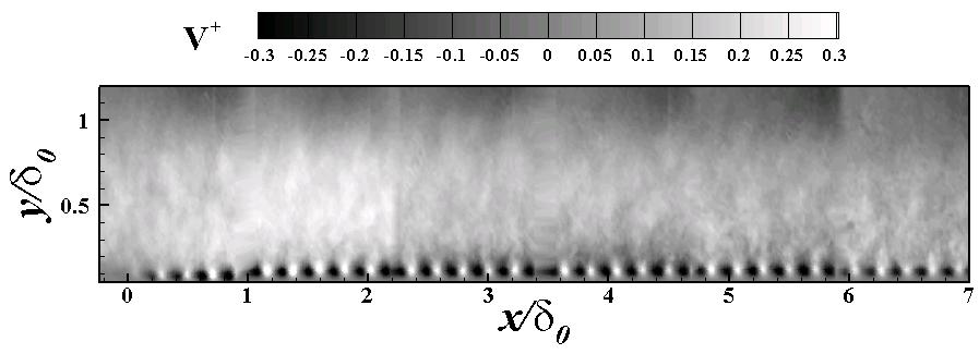이승현 김정훈 도덕희 성형진 Fig. Iso-contour of wall-normal mean velocity on a rough wall turbulent boundary layer Nucleonics, BNC-) 에의해동기화되었다. 화각 (field of view) 은두종류를사용하였는데경계층전체의유동장을측정하기위하여.