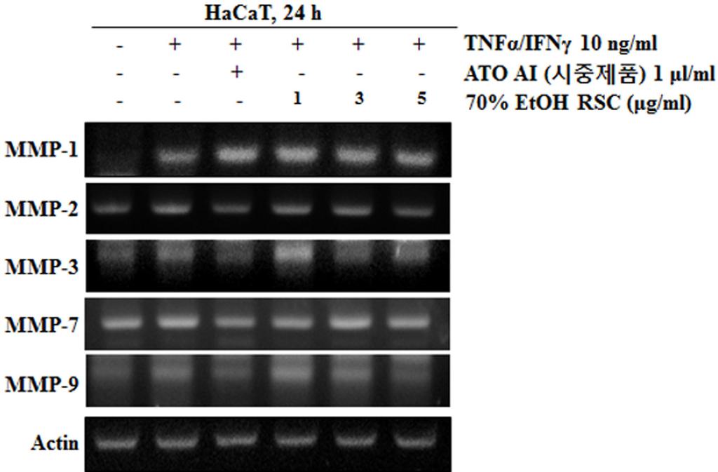 340 Korean Society for Biotechnology and Bioengineering Journal 32(4): 335-341 (2017) Fig. 5. Cell Cycle Regulation Effects of RSC in HaCaT cells.