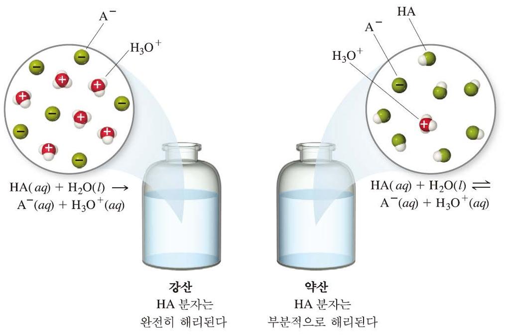 약산 약산 (Weak acids) 물에서약간만해리되어 H + 이온과짝염기 ( 음이온 ) 을내어놓는다.