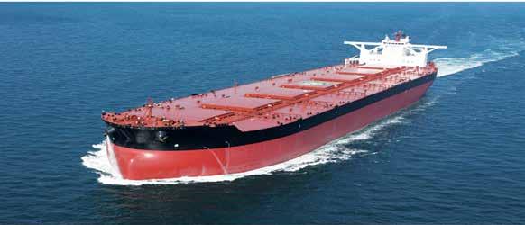 BUSINESS PORTFOLIO BULK CARRIER - DIMENSION : 300(L) X