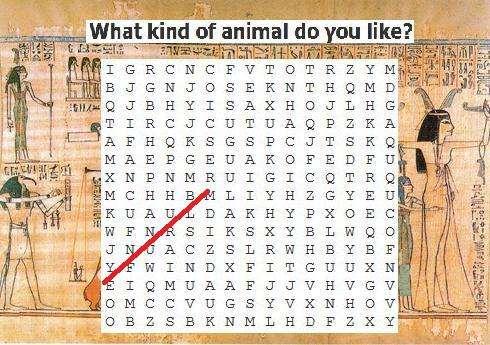 4) H4 ( 공개된풀이 ) <Q> 무슨동물좋아하니? <EQ> What kind of animal do you like? download_file_ft.