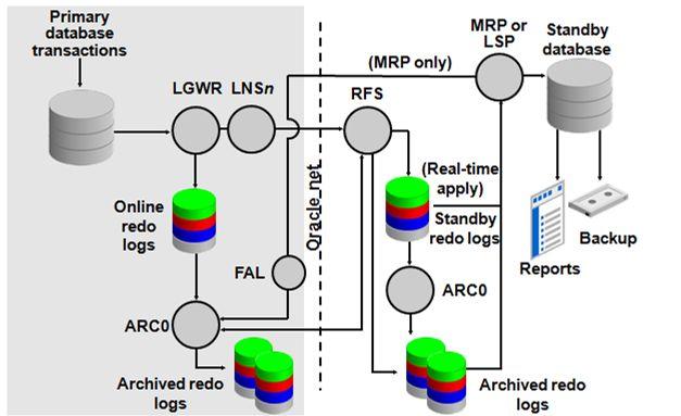 대기데이터베이스에서 Data Guard 로그적용서비스는다음과같은프로세스를사용한다. - RFS(Remote File Server) : RFS는주데이터베이스로부터리두정보를수신한다. RFS는수신한리두를대기리두로그또는아카이브리두로그에직접기록할수있다. 주데이터베이스의각 LNSn과 ARCn 프로세스는자신의 RFS 프로세스를소유한다.