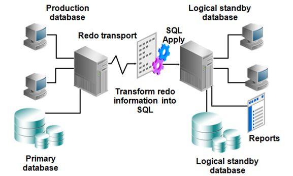논리적대기데이터베이스구조에서 Data Guard SQL 적용은주데이터베이스시스템으로부터전송된리두정보를사용한다.
