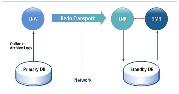 제 8 장 Tibero Standby Cluster 본장에서는 Tibero Standby Cluster 의구성요소와동작및운영방법을설명한다. 8.1. 개요 Tibero Standby Cluster는데이터베이스의고가용성, 데이터의보호, 재난복구등을목적으로제공하는 Tibero의핵심기능이다.