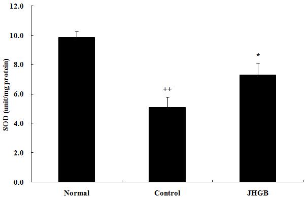 compared with control group by Student's t-test (**p<0.01). Fig. 16. Effect of JHSB on the glucose level in hyperlipidemia rat. JHSB : Hyperlipidemic diet and JHSB (209 mg/ 0.