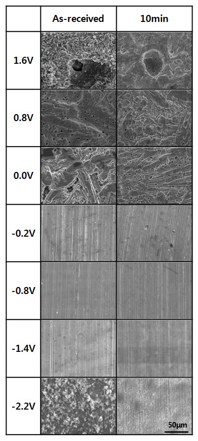 EVALUATION OF CORROSION AND THE ANTI-CAVITATION CHARACTERISTICS OF CU ALLOY BY WATER CAVITATION PEENING Fig. 10.