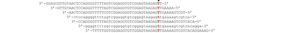 생물정보분석 : 유전질환유전자검출 유전질환환자의유전체서열분석 돌연변이유전자 지텔만증후군