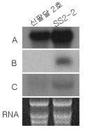 26~unknown protein [Arabidopsis thaliana] gene_id:f1d9.