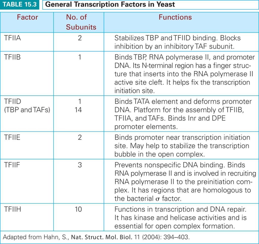 15.5 General transcription factors; basal transcription RNA polymerase II 는 core promoter 에결합하여전사를시작하기위하여 protein factor 의도움을필요로하며이들을 general transcription factors (GTFs) 라하고 TFIIA,
