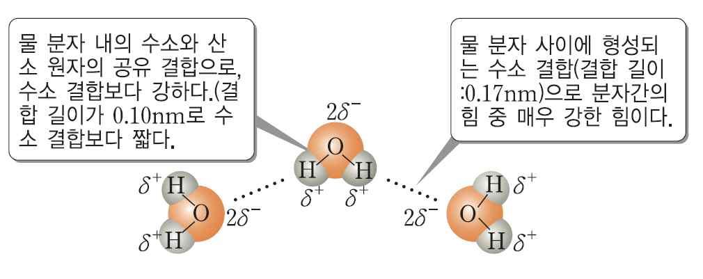 수능개념 Chem is Try! - with TOTO 3 강물의특성 1 화학의체계적완성김철준 1. 수소결합 물분자사이의수소결합 물분자사이에작용하는인력은물분자와비슷한분자량을가지는분자사이에작용하는인력보다매우강한데, 이것은물분의특이한구조와관련이있다. 전기음성도가큰 F( 플루오르 ), O( 산소 ), N( 질소 ) 원자에수소원자가결합된극성분자는수소결합이형성된다.