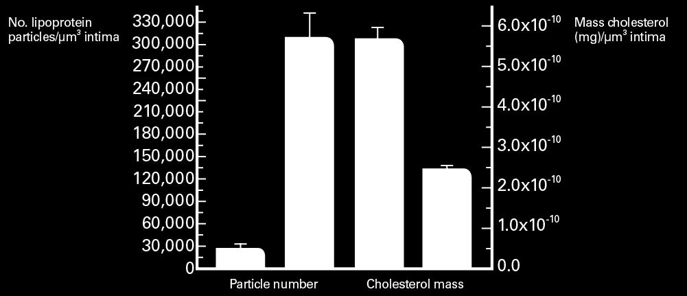 (Approximately 10-fold less) In human, ApoB 48-contatining chylomicron remnants contain approximately