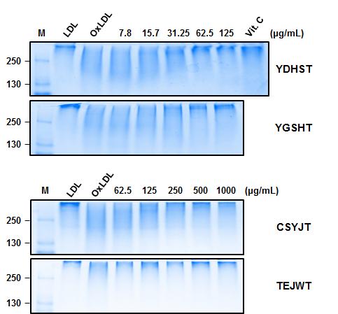 OS Kim et al. 57 Fig. 4. Effects of herbal formulas on Cu 2+ -mediated ApoB fragmentation in LDLs.