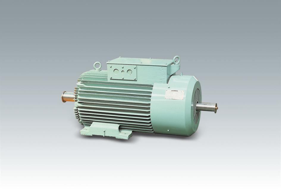Low Voltage Induction Motor 생산모델 표준품 방식형주물전동기 ( 전폐형, 반폐형 ) 알루미늄전동기 ( 전폐형 ) 방식형주물플랜지전동기 ( 전폐형,