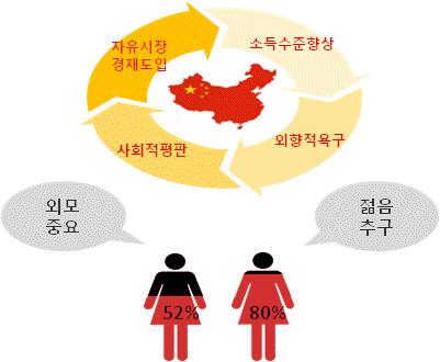 216 년기준국내시장규모는전세계 9 위로약 1.