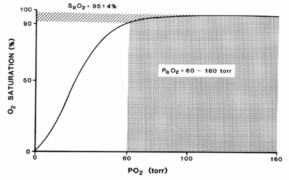 The saturation of Hb with O 2 will vary according to the level of PaO 2