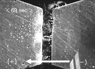 NaBr 및 NaF 용액에대한 Sn-3.Ag-.5Cu 솔더합금의 Electrochemical Migration 특성 61 ECM에민감하며수명또한짧아진다는기존결과와같은경향을보이고있다 6,11). SnAgCu 솔더합금의 Ag와 Cu가 ECM 현상에미치는영향을관찰하기위해 Fig.