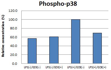 김태연 Fig. 6. Effect of GDE on LPS-induced phosphorylation of p38 in RAW 264.7 cells. Fig. 7. Effect of GDE on LPS-induced phosphorylation of ERK in RAW 264.7 cells. Fig. 8.