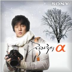 집행금액상위순으로나열 캠페인명집행매체 Sony