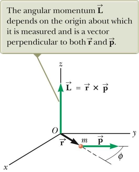 L=mvr sn 입자계의각운동량 (Angular Momentum of a System of Partcles) Ltot L1