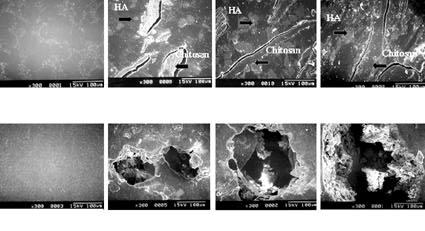 Fig. 4. The change in ph values of the specimens: The solution was replaced everyday. (A) a. PMMA(300) b. BBC(300) c. BBC(300) d. BBC(300) (B) a.