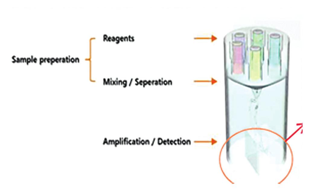 6. POCT System - Point of Care Testing LabGenius R