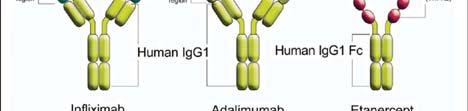 16 Infliximab Remicade mab