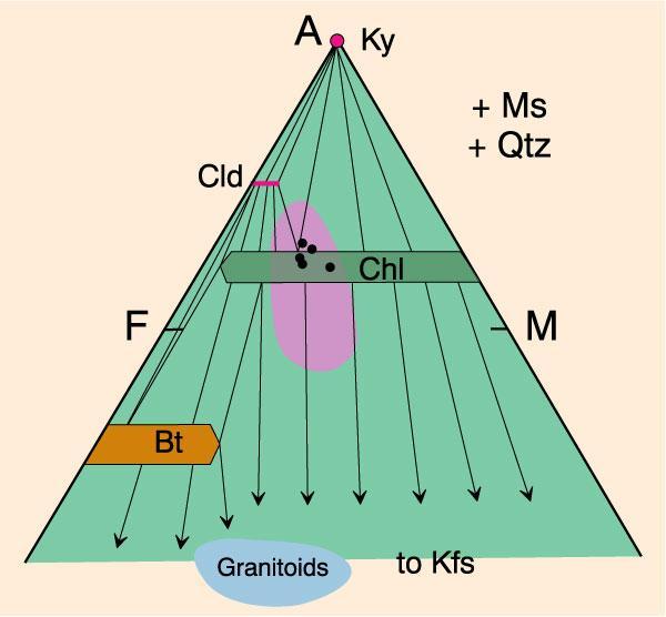 Metapelites Figure 28-5. AFM projection for the biotite zone, greenschist facies, above the chloritoid isograd.