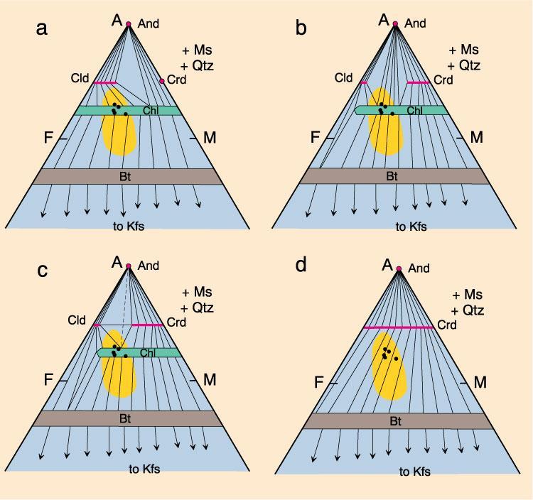 Figure 28-17. AFM diagrams (projected from muscovite) for low P/T metamorphism of pelites. a.